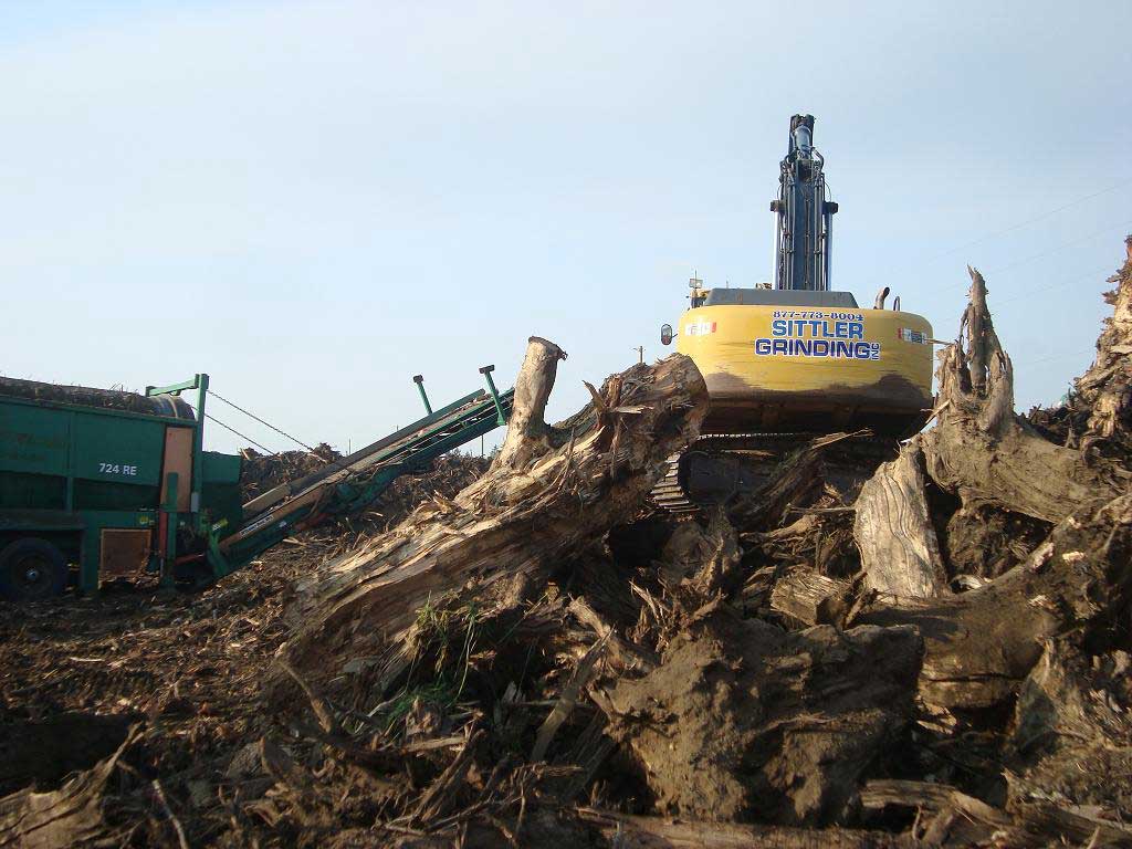 stumps to be ground